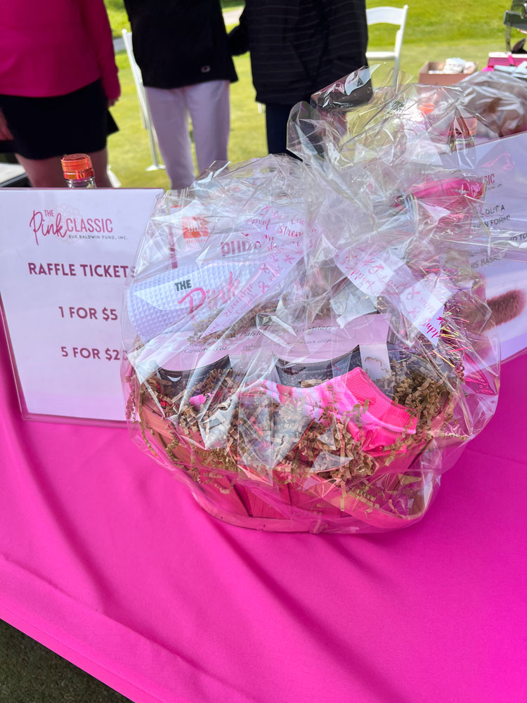 1000-IMG_3619 Sue Baldwin Fund Pink Classic 2025